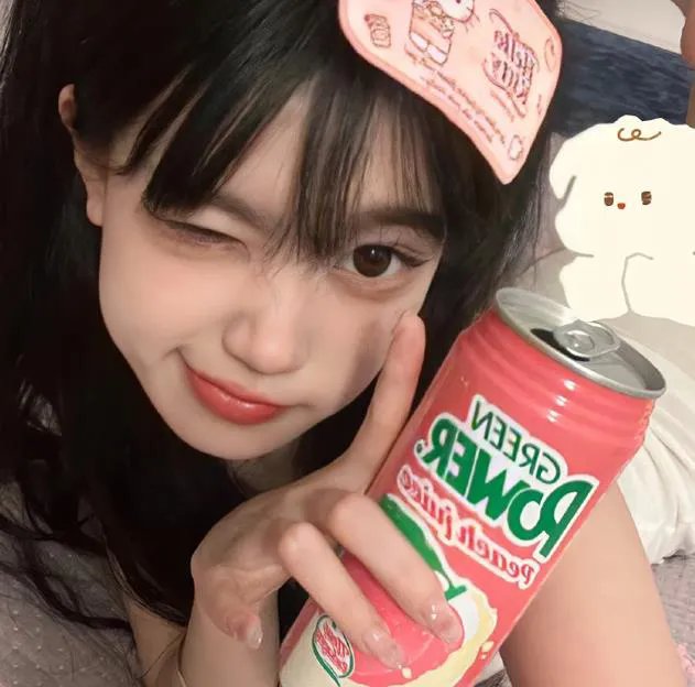 鹈鹕的故事